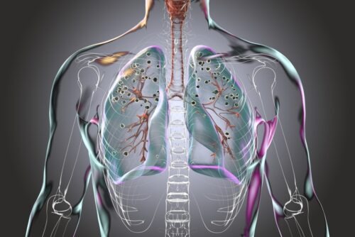 Découvrez 10 organes du corps hérités de vies antérieures !